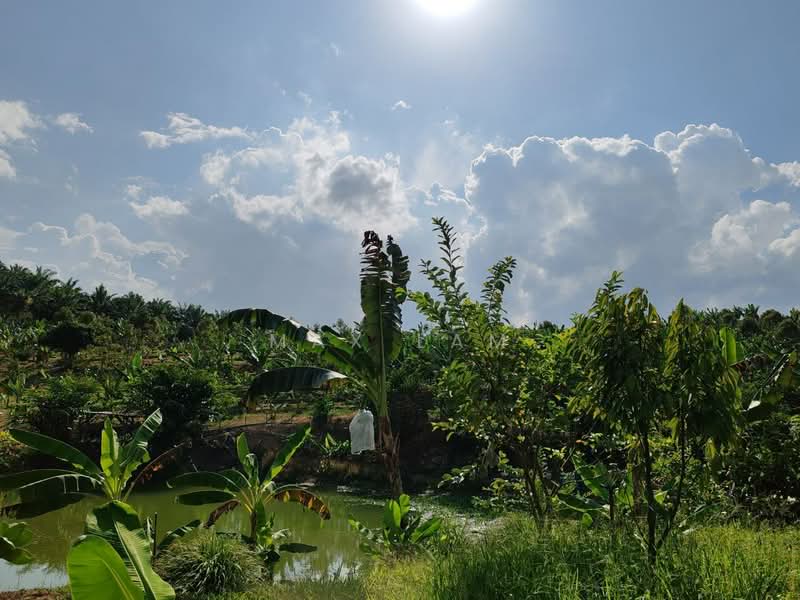 Agricultural Land for Sale in Kampung Seelong Jaya (Senai) - Max Lam - PropertyGuru.com.my