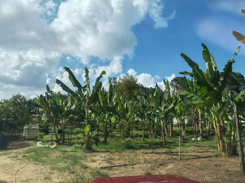 Agricultural Land for Sale in Kampung Seelong Jaya (Senai) - Max Lam - PropertyGuru.com.my