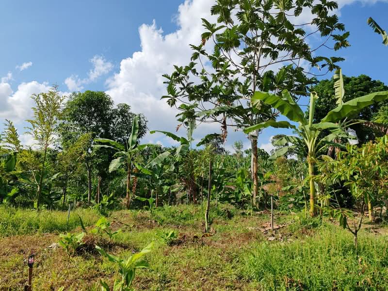 Agricultural Land for Sale in Kampung Seelong Jaya (Senai) - Max Lam - PropertyGuru.com.my