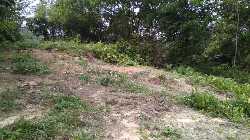 Tanah Perindustrian untuk Dijual di Kuang (Selangor) - Mike Yuen - Exterior - PropertyGuru.com.my