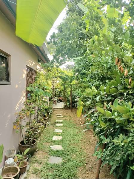 Bungalow for Sale in Taman Tun Dr Ismail (Kuala Lumpur) - Jeniffer Lim - PropertyGuru.com.my