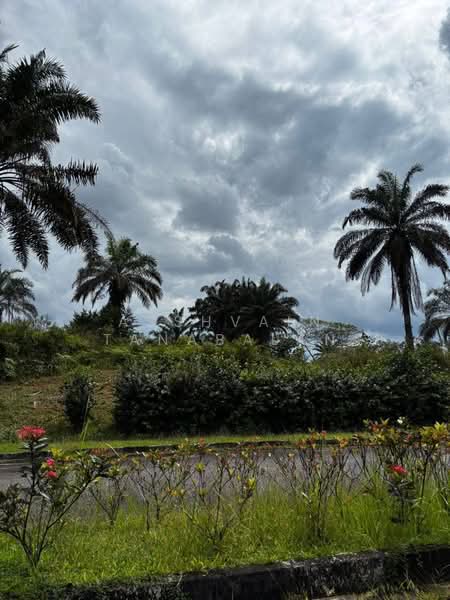 Commercial Land for Sale in Kampung Baru Sedenak (Sedenak) - Asshvain Tanabalan - PropertyGuru.com.my