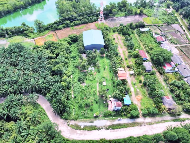 Agricultural Land for Sale in Kampung Dengkil (Dengkil) - Herman Sazwan Nor Rahim - Exterior - PropertyGuru.com.my