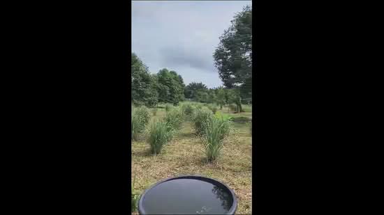 Tanah Pertanian untuk Dijual di Pontian (Johor) - Jesy Tey - PropertyGuru.com.my