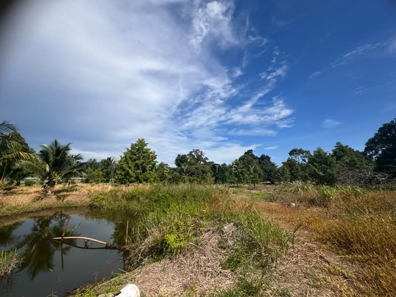 Tanah Pertanian untuk Dijual di Pontian (Johor) - Jesy Tey - Exterior - PropertyGuru.com.my