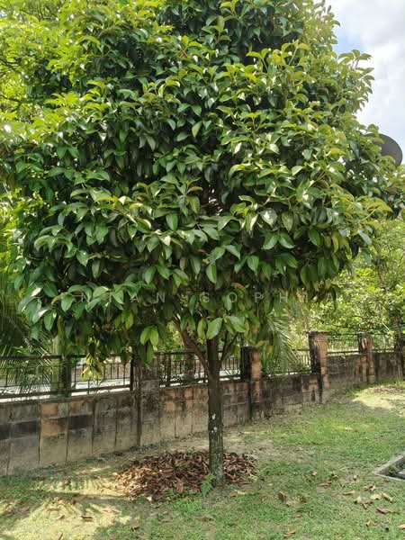 2-storey Terraced House for Sale in Bukit Jelutong (Shah Alam) - Intan Sophia - PropertyGuru.com.my