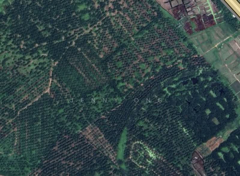 Industrial Land for Sale in Padang Meha (Kedah) - Jenny Ong - PropertyGuru.com.my