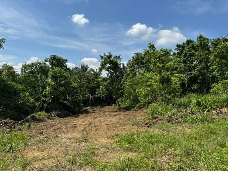 Tanah Perindustrian untuk Disewa di Sri Plentong (Plentong) - Mancy Lim - Exterior - PropertyGuru.com.my