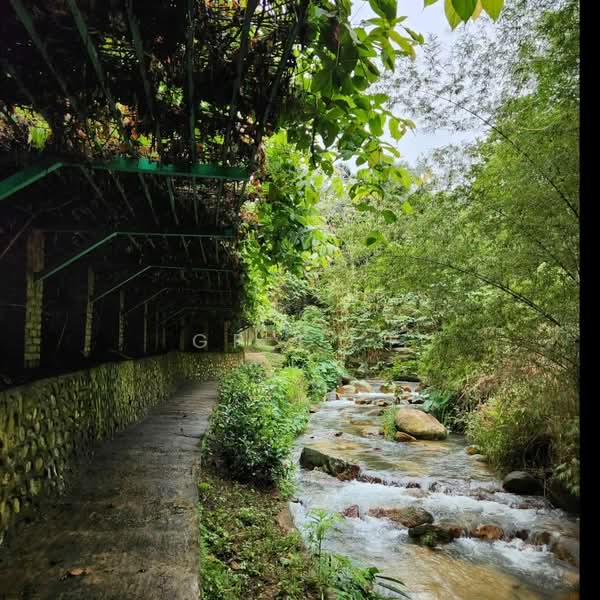 Tanah Pertanian untuk Dijual di Raub (Pahang) - GP Goh - PropertyGuru.com.my