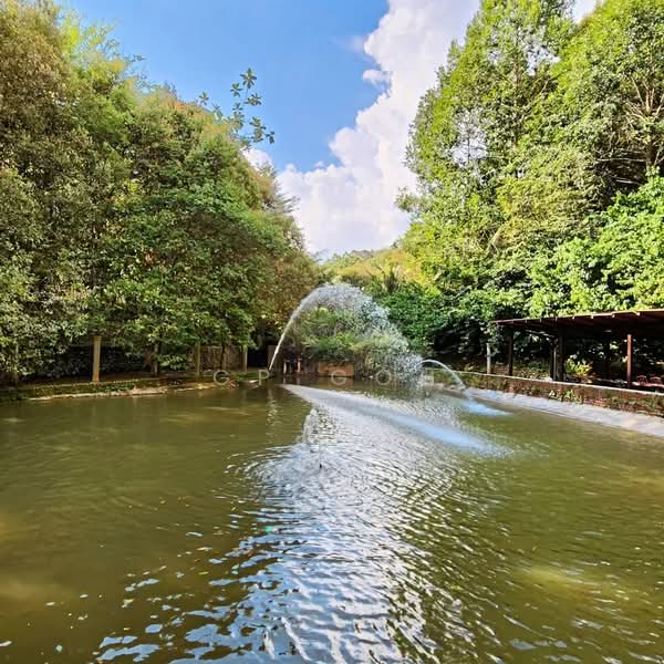 Tanah Pertanian untuk Dijual di Raub (Pahang) - GP Goh - PropertyGuru.com.my