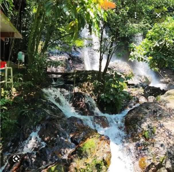 Tanah Pertanian untuk Dijual di Raub (Pahang) - GP Goh - PropertyGuru.com.my