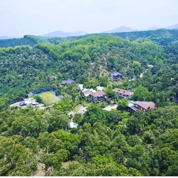 Tanah Pertanian untuk Dijual di Raub (Pahang) - GP Goh - PropertyGuru.com.my