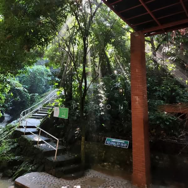 Tanah Pertanian untuk Dijual di Raub (Pahang) - GP Goh - PropertyGuru.com.my