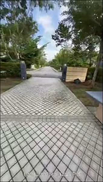 2.5-storey Terraced House for Rent in Forest City (Gelang Patah) - Thea Lai - PropertyGuru.com.my