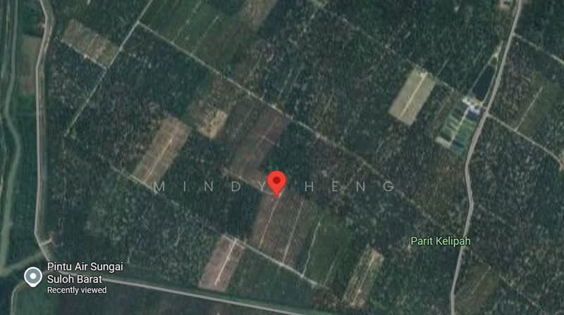 Tanah Pertanian untuk Dijual di Sungai Suloh Besar (Senggarang) - Mindy Heng - PropertyGuru.com.my