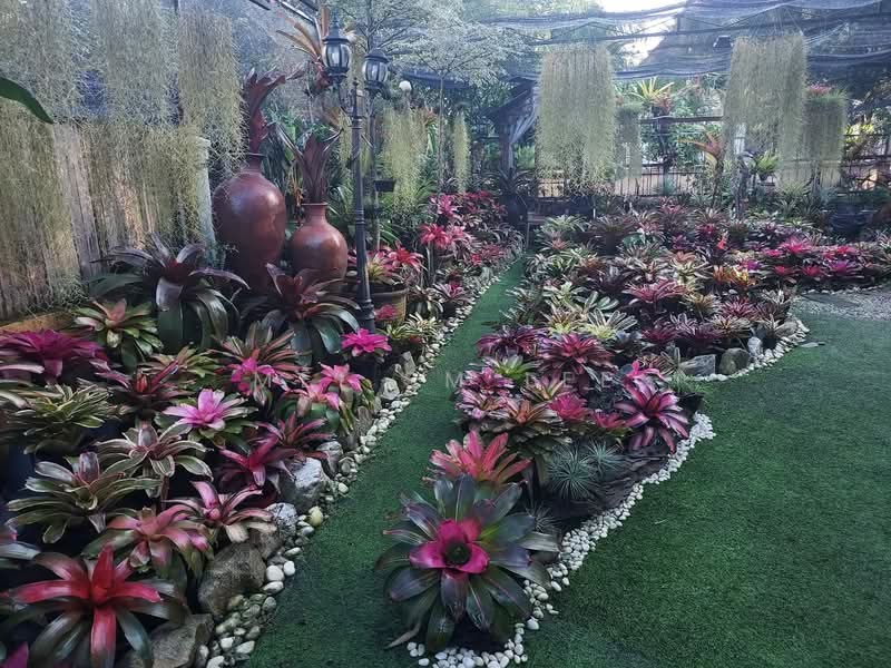 2-storey Terraced House for Sale in Alam Damai (Cheras) - Mei SM Lee - Damai Puspa Alam Damai Cheras Garden - PropertyGuru.com.my