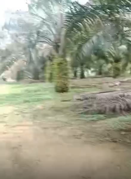 Agricultural Land for Sale in Karak (Pahang) - Nicky Ling - PropertyGuru.com.my