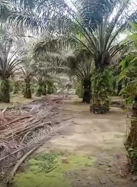 Agricultural Land for Sale in Karak (Pahang) - Nicky Ling - PropertyGuru.com.my