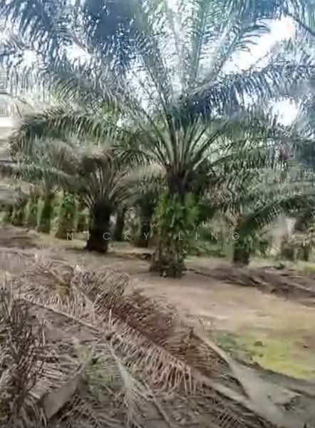 Agricultural Land for Sale in Karak (Pahang) - Nicky Ling - PropertyGuru.com.my