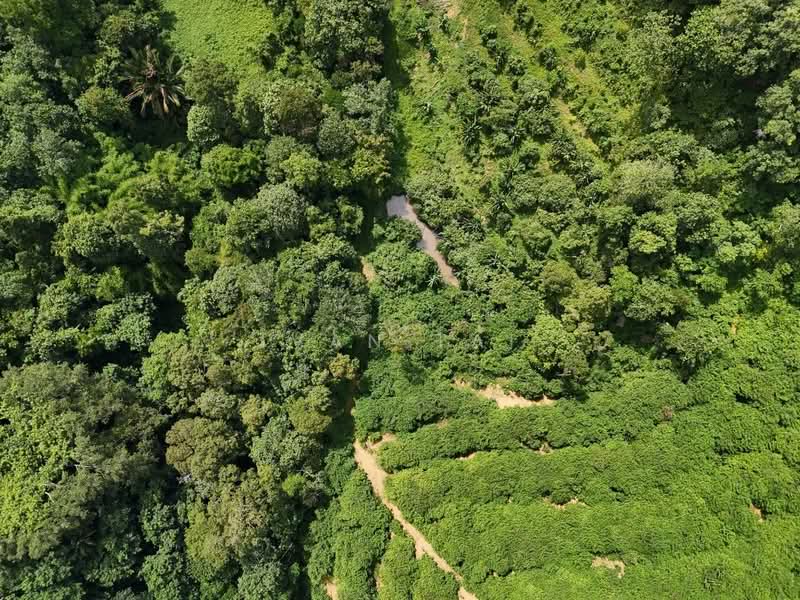 Tanah Pertanian untuk Dijual di Kuala Kangsar (Perak) - Ivan Tai - PropertyGuru.com.my