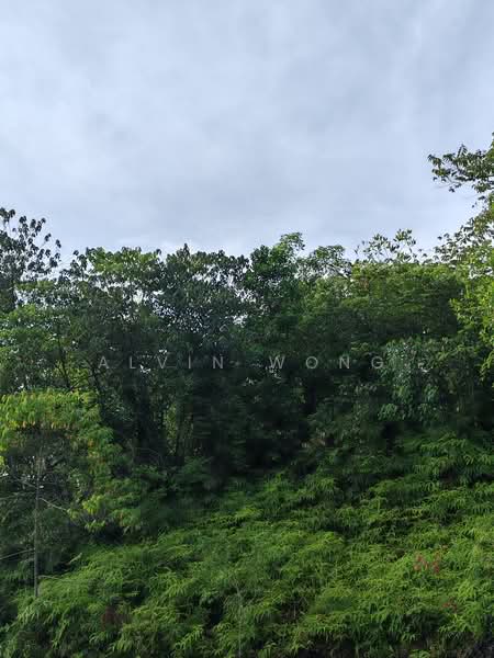 Tanah Pertanian untuk Dijual di Taman Kundang Jaya (Rawang) - Alvin Wong - PropertyGuru.com.my