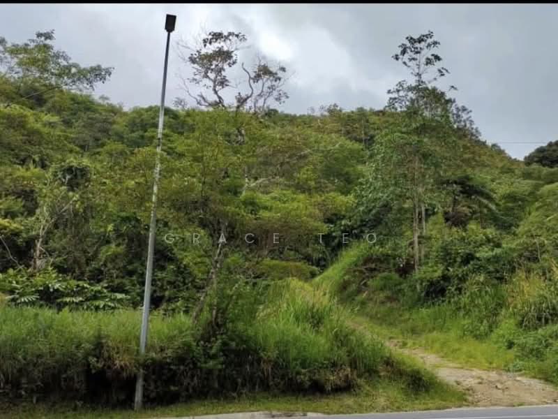 Commercial Land for Sale in Ranau (Sabah) - Grace Teo - PropertyGuru.com.my