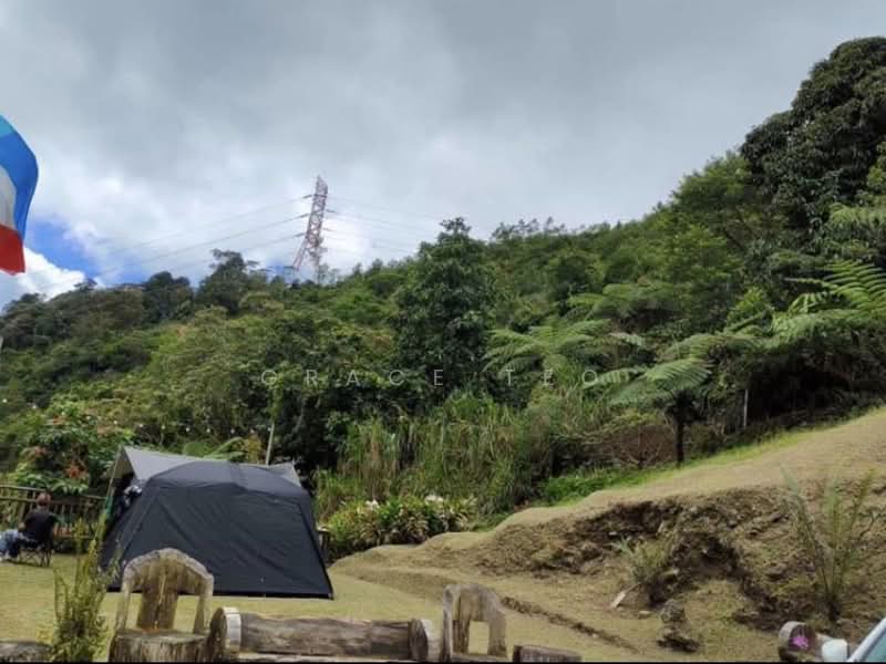Commercial Land for Sale in Ranau (Sabah) - Grace Teo - PropertyGuru.com.my
