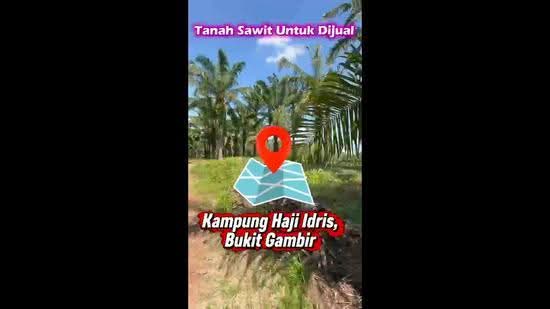 Agricultural Land for Sale in Tangkak (Johor) - Nor Baayiah - PropertyGuru.com.my