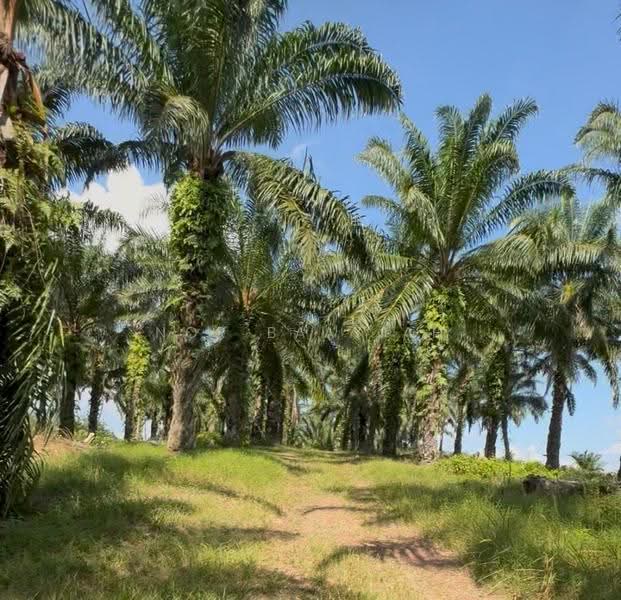 Agricultural Land for Sale in Tangkak (Johor) - Nor Baayiah - Exterior - PropertyGuru.com.my