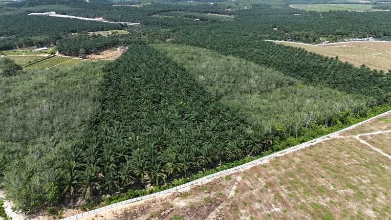 Tanah Pertanian untuk Dijual di Rembia (Melaka) - Wesley Tan - PropertyGuru.com.my