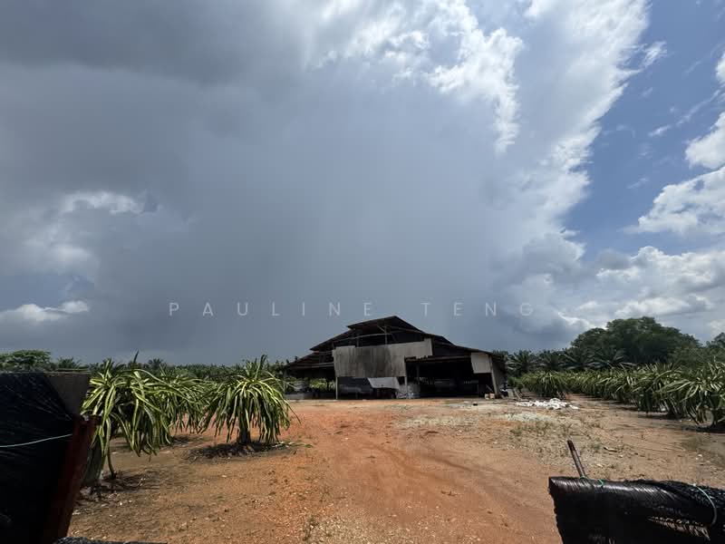 Agricultural Land for Rent in Jimah (Negeri Sembilan) - Pauline Teng - PropertyGuru.com.my