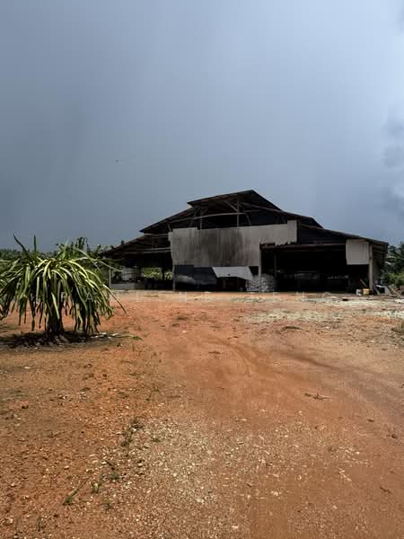 Agricultural Land for Rent in Jimah (Negeri Sembilan) - Pauline Teng - PropertyGuru.com.my