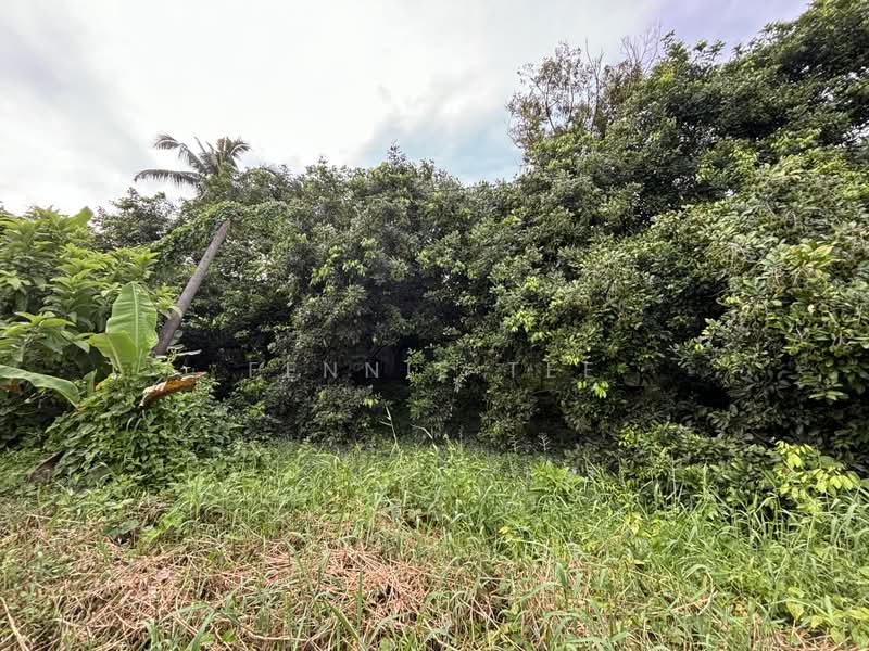 Tanah Pertanian untuk Disewa di Taman Cahaya (Teluk Intan) - Fennie Tee - PropertyGuru.com.my