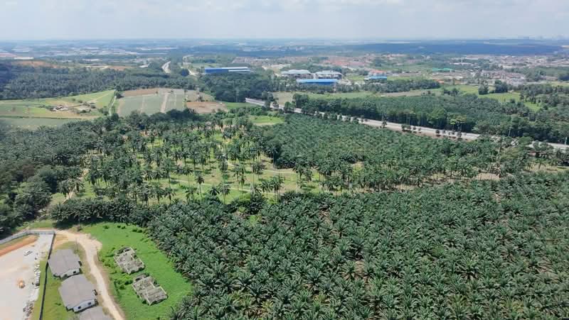 Tanah Pertanian untuk Dijual di Bandar Indahpura (Kulai) - Syafa Kamis - Exterior - PropertyGuru.com.my
