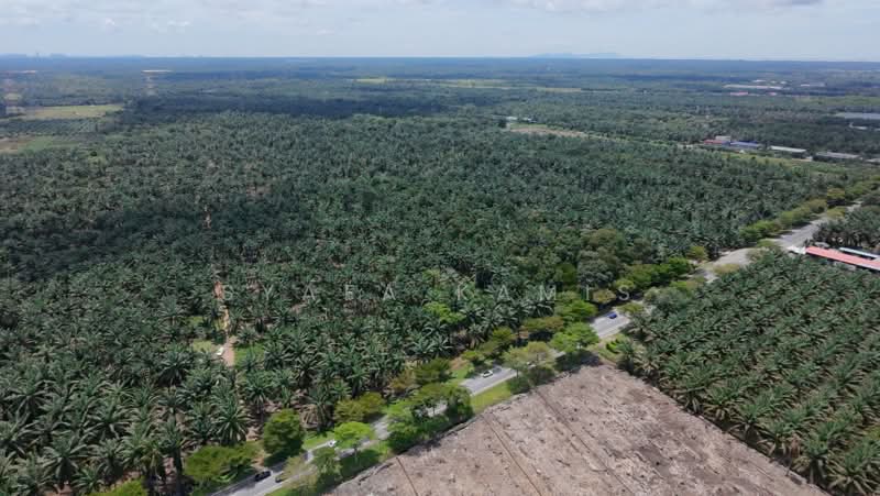Tanah Pertanian untuk Dijual di Bandar Indahpura (Kulai) - Syafa Kamis - Exterior - PropertyGuru.com.my