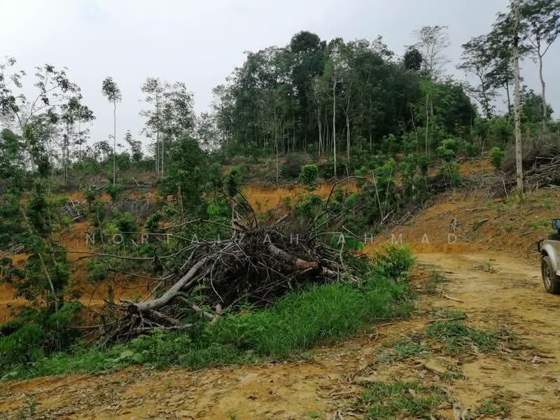 Tanah Pertanian untuk Dijual di Ulu Jempol (Negeri Sembilan) - Norfaizah Ahmad - Exterior - PropertyGuru.com.my