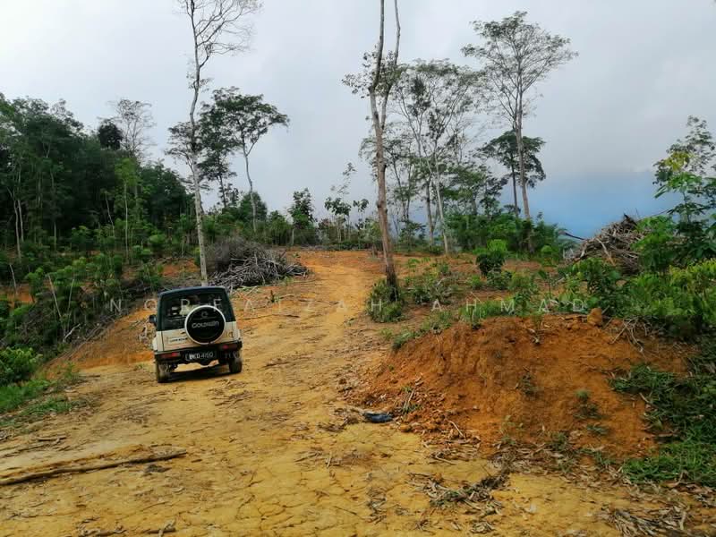 Tanah Pertanian untuk Dijual di Ulu Jempol (Negeri Sembilan) - Norfaizah Ahmad - Exterior - PropertyGuru.com.my