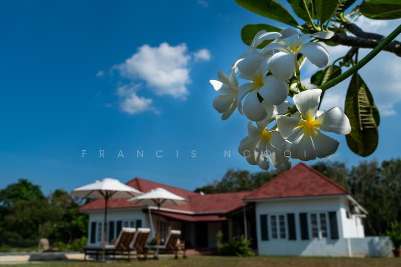 Rumah Banglo untuk Dijual di Taman Desa Kemboja (Bohor) - Francis Ngooi - PropertyGuru.com.my