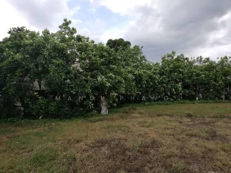 Tanah Pertanian untuk Dijual di Taman Ampang (Ipoh) - Mandy Phang - PropertyGuru.com.my