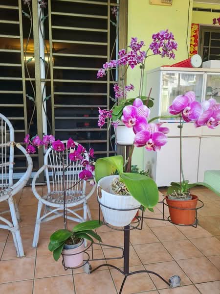 2-storey Terraced House for Sale in Bandar Bukit Puchong 2 (Puchong) - Ben Woo - Exterior - PropertyGuru.com.my