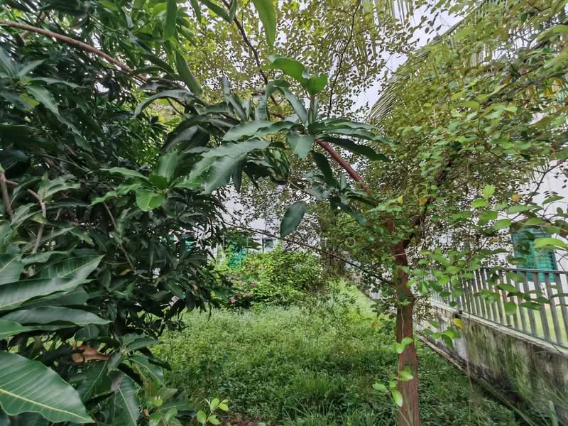 Rumah Banglo untuk Dijual di Bertam Perdana 2 (Kepala Batas) - Alex Ho - Garden - PropertyGuru.com.my