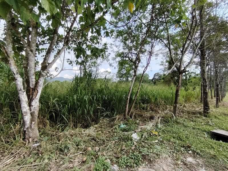 Commercial Land for Sale in Semenyih (Selangor) - Rain Tan - Exterior - PropertyGuru.com.my