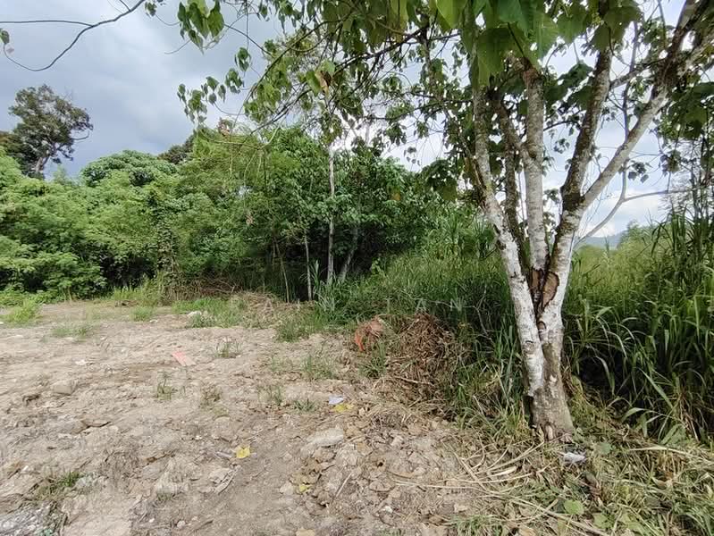 Commercial Land for Sale in Semenyih (Selangor) - Rain Tan - Exterior - PropertyGuru.com.my