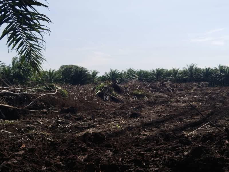 Agricultural Land for Rent in Kelapa Sawit (Kulai) - Alen Tan - PropertyGuru.com.my