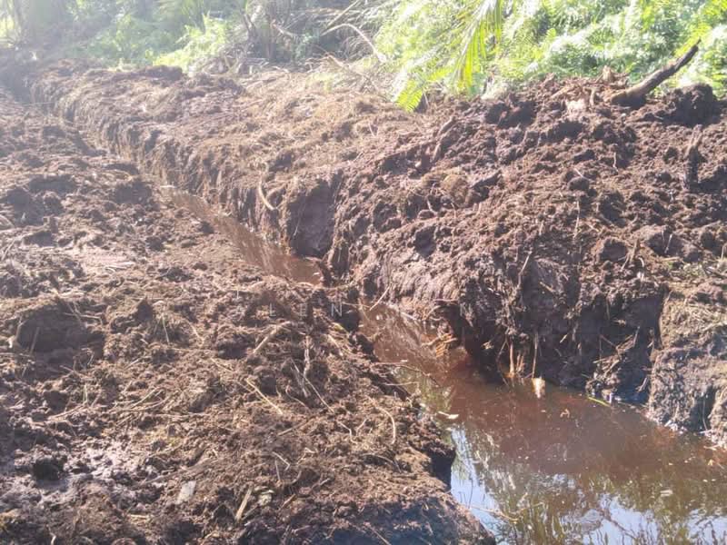 Agricultural Land for Rent in Kelapa Sawit (Kulai) - Alen Tan - PropertyGuru.com.my