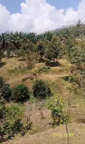 Tanah Pertanian untuk Dijual di Tanjung Malim (Perak) - Cassey Lim - PropertyGuru.com.my