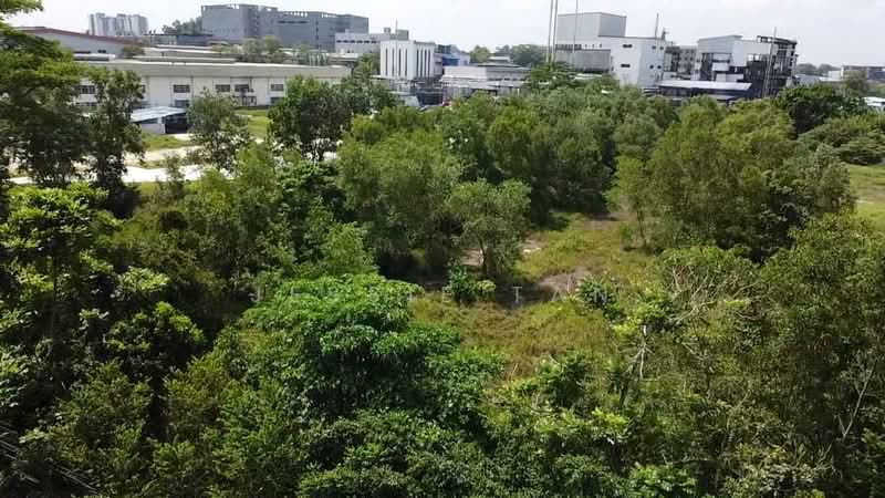 Industrial Land for Sale in Tampoi (Johor) - Jessie Tan - Exterior - PropertyGuru.com.my