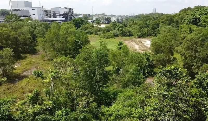 Industrial Land for Sale in Tampoi (Johor) - Jessie Tan - Exterior - PropertyGuru.com.my