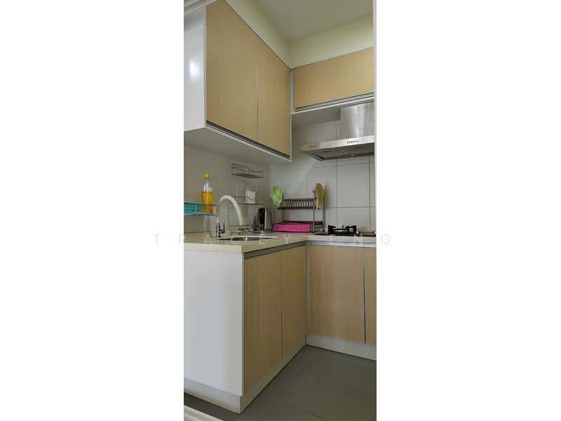 Condominium for Sale at Medini Signature - Tracey Eng - Kitchen - PropertyGuru.com.my