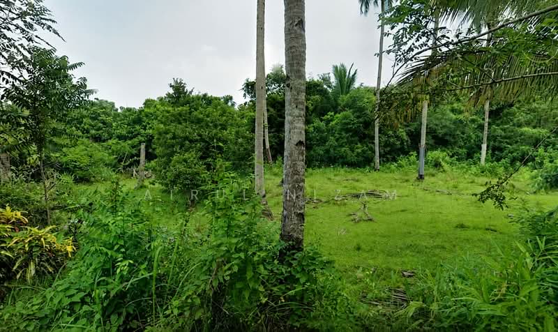 Agricultural Land for Sale in Langkawi (Kuah) - AIRUL NIZAM - Exterior - PropertyGuru.com.my